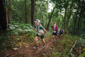 BIB: 
                            <button type="button" onclick="openModal(22446504)" class="btn btn-primary btn-sm float-right btn-popup" data-toggle="modal" data-target=".modal-high-quality">
                        <i class="fas fa-shopping-cart"></i> Add to Cart
                    </button>
                                            <button type="button" onclick="isThisMe(22446504, true)" class="btn btn-success btn-sm float-right btn-popup btn-isme hidden" data-toggle="tooltip" data-placement="bottom" title="นี่คือรูปของคุณใช่ไหม คลิกที่นี่เพื่อเอาเข้าอัลบั้ม">
                        <i class="fas fa-plus"></i> Add to album
                    </button>
                    <button type="button" onclick="isThisMe(22446504, false)" class="btn btn-warning btn-sm float-right btn-popup btn-isnotme hidden">
                        <i class="fas fa-ban"></i> Remove from album
                    </button>